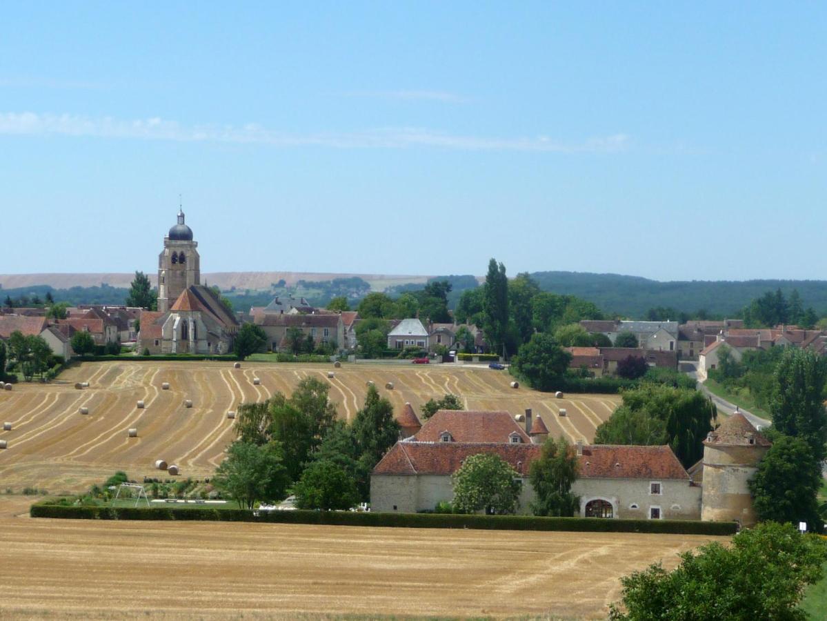 Chateau De Ribourdin Chevannes  ภายนอก รูปภาพ