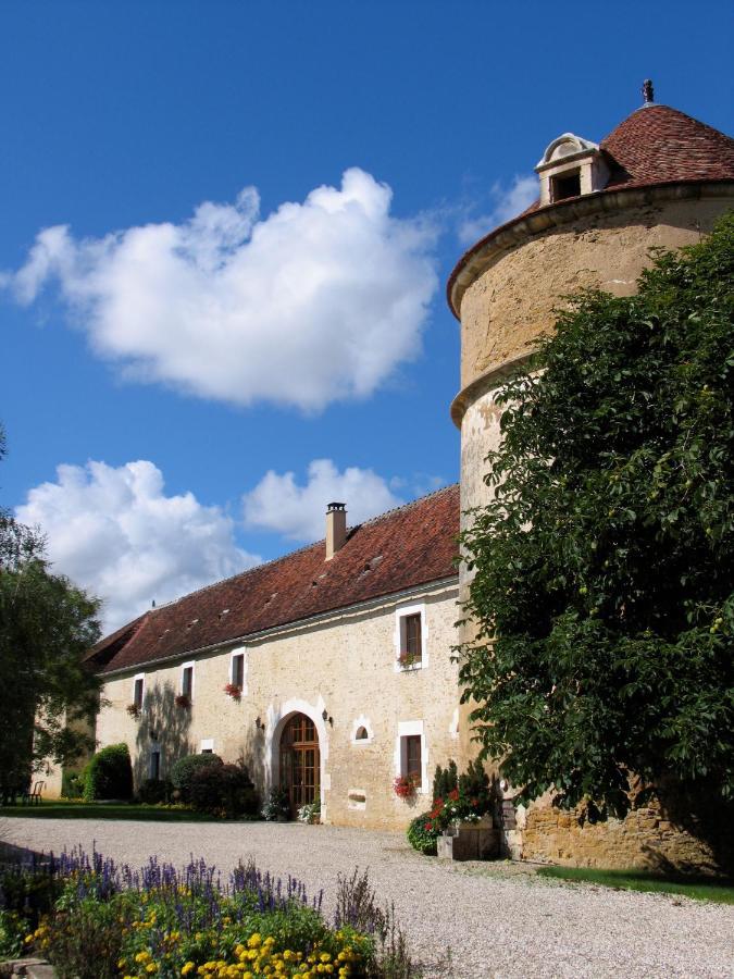 Chateau De Ribourdin Chevannes  ภายนอก รูปภาพ